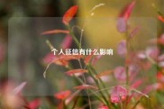 个人征信有什么影响
