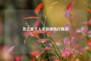 怎么查个人失信被执行情况